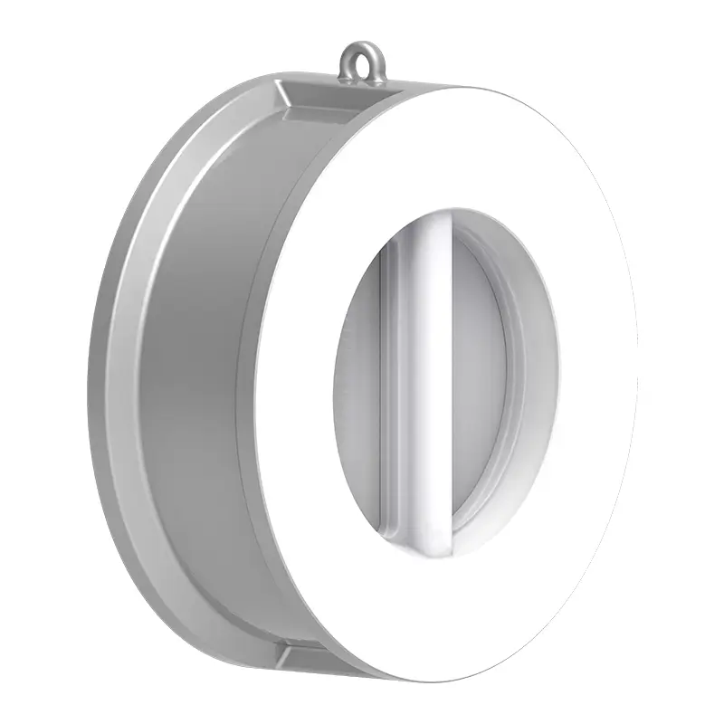 PTFE Check Pafer Check Valve‌‌
